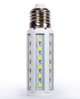 لامپ مدلینگLEDعکاس مارکت ۲ لامپ مدلینگ LED - 1