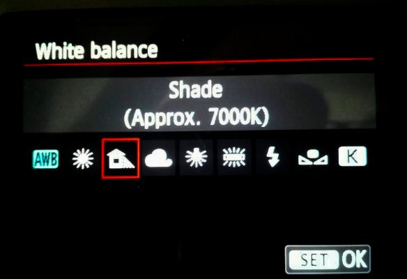 White Balance2