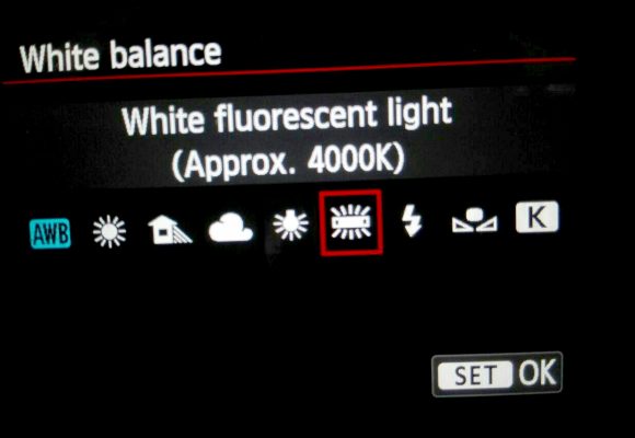 White Balance5