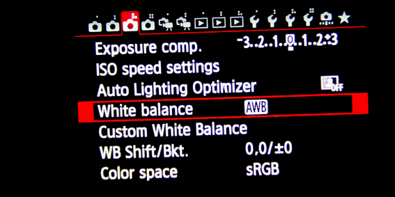 White Balance