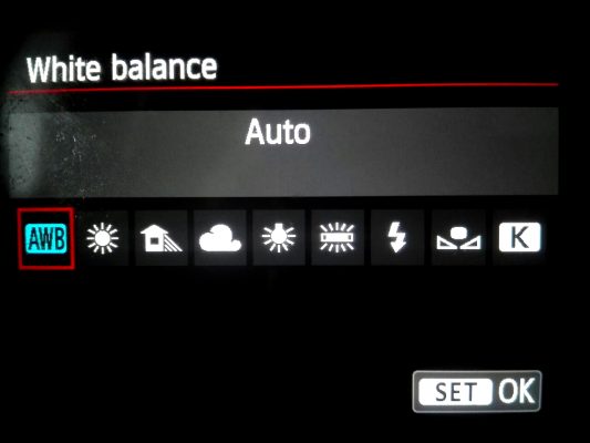 White Balance7