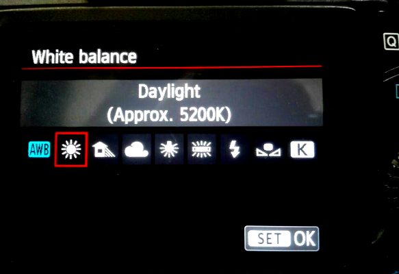 White Balance8