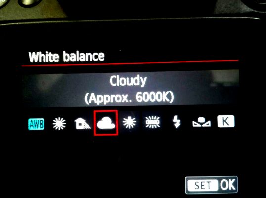 White Balance9